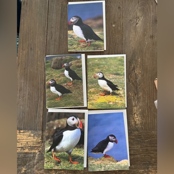 Puffin Greeting Cards with Envelopes. Set of 5 - Picture 1 of 2